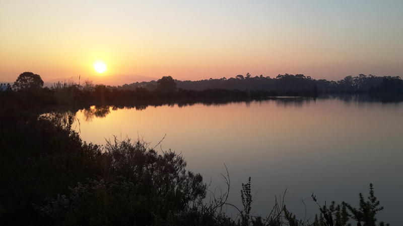 Diemersfontein Wine & Country Estate