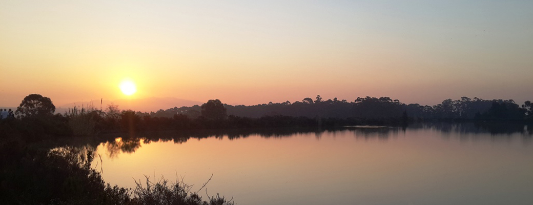 Diemersfontein Wine & Country Estate